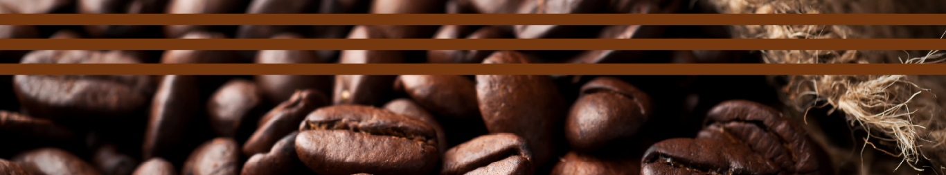 Description of Image 2